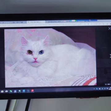 供应7寸液晶串口显示屏人机界面800*480用于工业控制设备充电桩