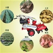 出租加长臂挖掘机案例 出租加长臂挖掘机 国斗基础工程有限公司